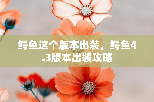 鳄鱼这个版本出装，鳄鱼4.3版本出装攻略