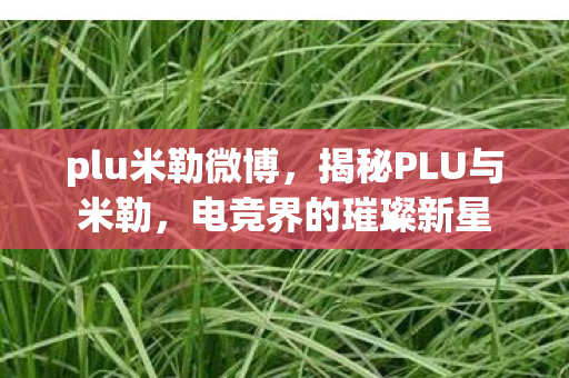plu米勒微博，揭秘PLU与米勒，电竞界的璀璨新星