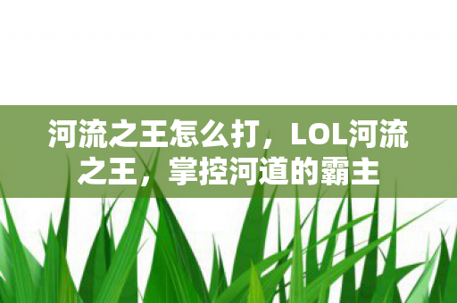 河流之王怎么打，LOL河流之王，掌控河道的霸主
