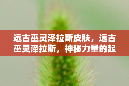 远古巫灵泽拉斯皮肤，远古巫灵泽拉斯，神秘力量的起源与传承