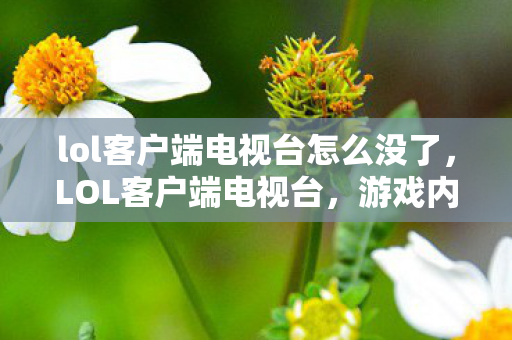 lol客户端电视台怎么没了，LOL客户端电视台，游戏内外的精彩世界