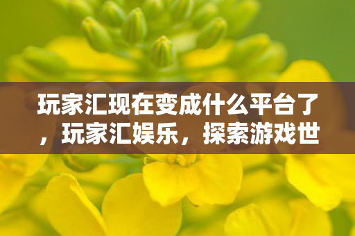 玩家汇现在变成什么平台了，玩家汇娱乐，探索游戏世界的无限魅力