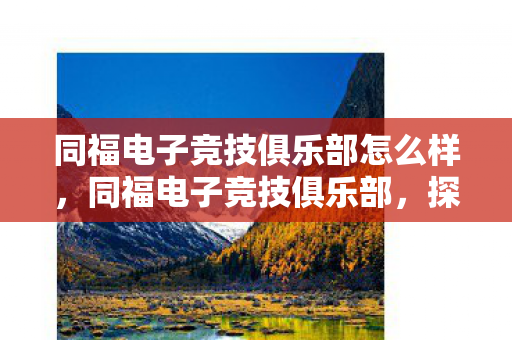 同福电子竞技俱乐部怎么样，同福电子竞技俱乐部，探索数字竞技的新纪元