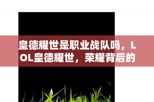 皇德耀世是职业战队吗，LOL皇德耀世，荣耀背后的故事与团队之力