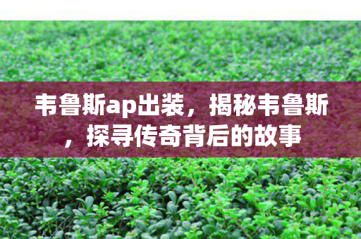 韦鲁斯ap出装，揭秘韦鲁斯，探寻传奇背后的故事