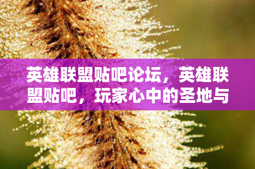 英雄联盟贴吧论坛，英雄联盟贴吧，玩家心中的圣地与战场