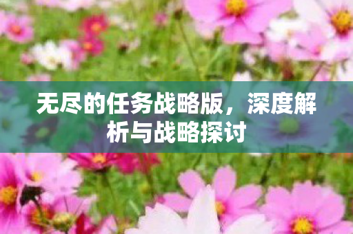 无尽的任务战略版，深度解析与战略探讨