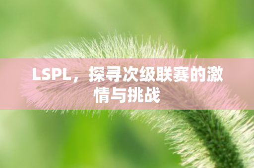 LSPL，探寻次级联赛的激情与挑战