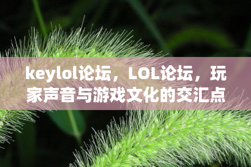 keylol论坛，LOL论坛，玩家声音与游戏文化的交汇点
