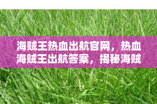 海贼王热血出航官网，热血海贼王出航答案，揭秘海贼世界的宝藏与冒险之旅