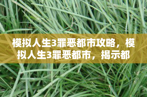 模拟人生3罪恶都市攻略，模拟人生3罪恶都市，揭示都市生活的另一面