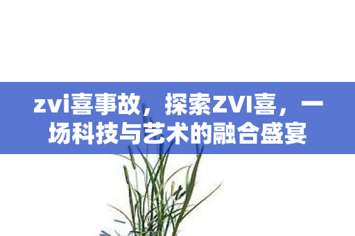 zvi喜事故，探索ZVI喜，一场科技与艺术的融合盛宴