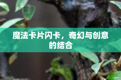 魔法卡片闪卡，奇幻与创意的结合