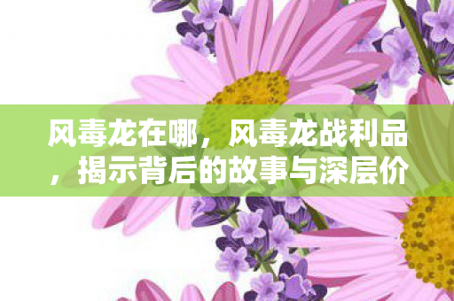 风毒龙在哪，风毒龙战利品，揭示背后的故事与深层价值