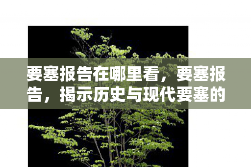 要塞报告在哪里看，要塞报告，揭示历史与现代要塞的重要性与变迁