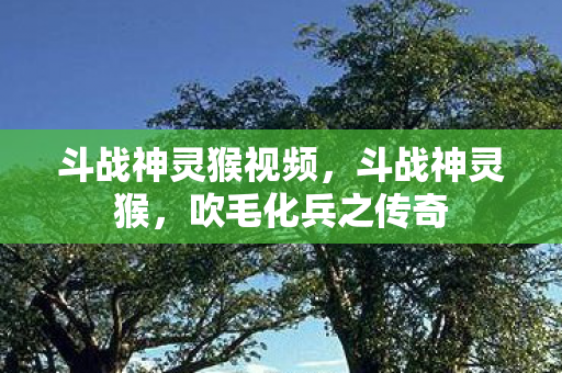 斗战神灵猴视频，斗战神灵猴，吹毛化兵之传奇