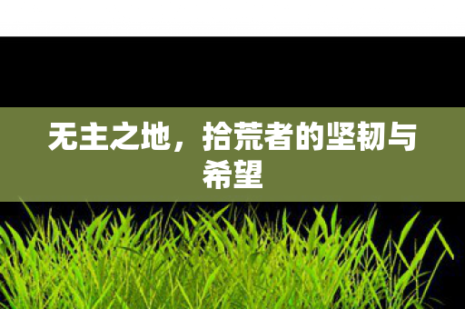 无主之地，拾荒者的坚韧与希望