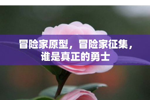 冒险家原型，冒险家征集，谁是真正的勇士