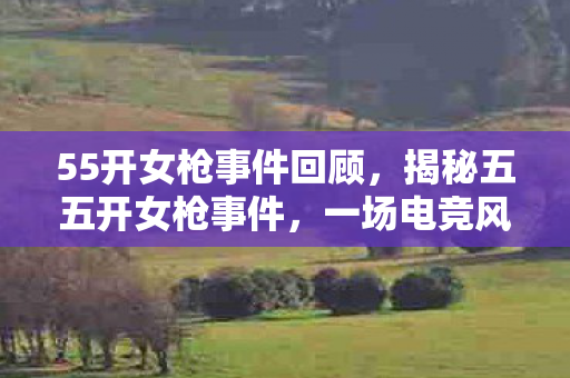 55开女枪事件回顾，揭秘五五开女枪事件，一场电竞风暴的始末
