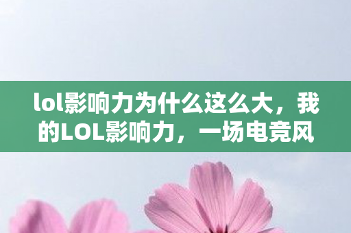 lol影响力为什么这么大，我的LOL影响力，一场电竞风云的见证