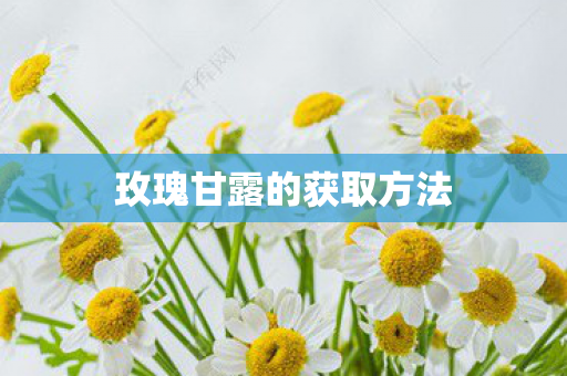 玫瑰甘露的获取方法 玫瑰甘露的获取方法