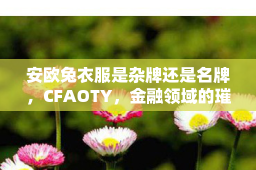 安欧兔衣服是杂牌还是名牌，CFAOTY，金融领域的璀璨明星