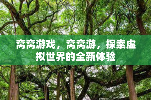 窝窝游戏，窝窝游，探索虚拟世界的全新体验