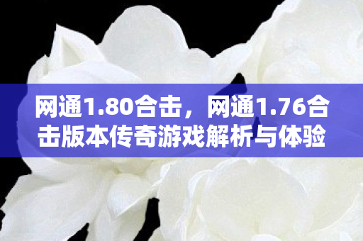 网通1.80合击，网通1.76合击版本传奇游戏解析与体验分享
