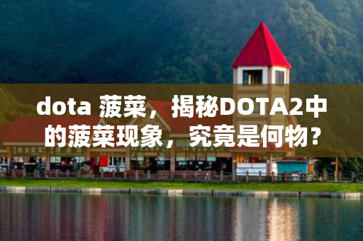 dota 菠菜，揭秘DOTA2中的菠菜现象，究竟是何物？