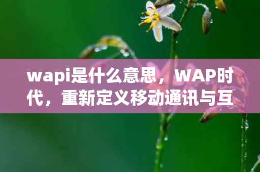 wapi是什么意思，WAP时代，重新定义移动通讯与互联网的交融点