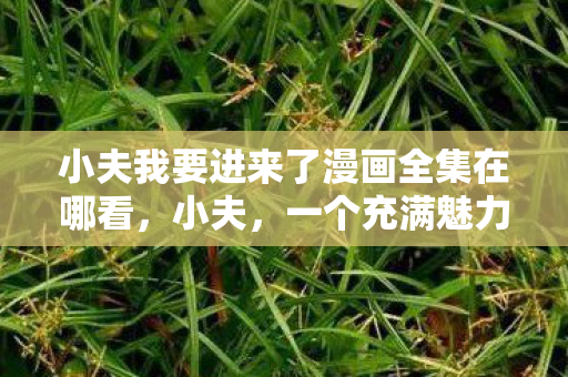 小夫我要进来了漫画全集在哪看，小夫，一个充满魅力的角色探索