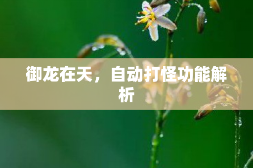 御龙在天，自动打怪功能解析