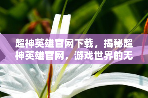超神英雄官网下载，揭秘超神英雄官网，游戏世界的无尽魅力