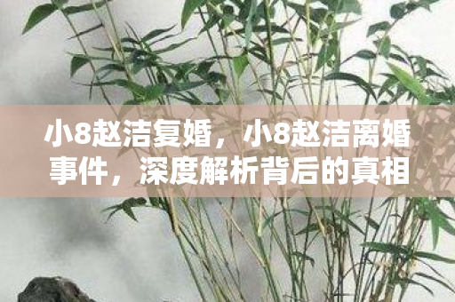 小8赵洁复婚，小8赵洁离婚事件，深度解析背后的真相与影响