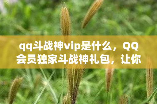 qq斗战神vip是什么，QQ会员独家斗战神礼包，让你游戏领先一步！