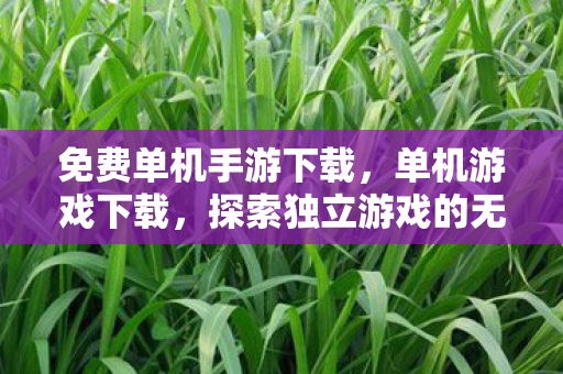 免费单机手游下载，单机游戏下载，探索独立游戏的无限魅力