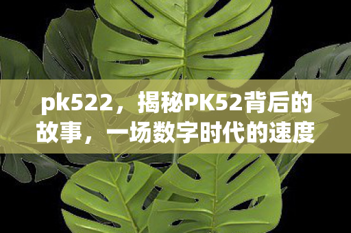 pk522，揭秘PK52背后的故事，一场数字时代的速度与激情竞赛