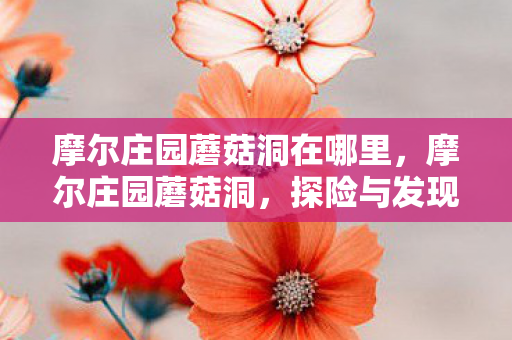 摩尔庄园蘑菇洞在哪里，摩尔庄园蘑菇洞，探险与发现的神秘之地