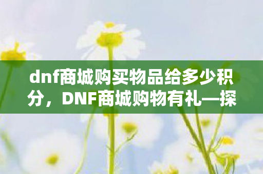 dnf商城购买物品给多少积分，DNF商城购物有礼—探索游戏内外的惊喜福利