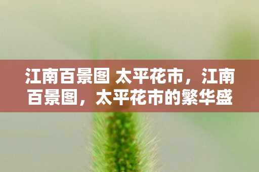 江南百景图 太平花市，江南百景图，太平花市的繁华盛景