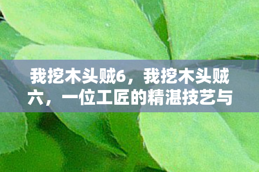 我挖木头贼6，我挖木头贼六，一位工匠的精湛技艺与人生感悟