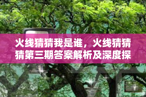 火线猜猜我是谁，火线猜猜猜第三期答案解析及深度探讨