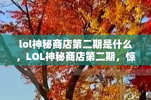 lol神秘商店第二期是什么，LOL神秘商店第二期，惊喜不断，福利满满！