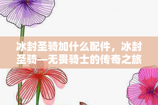 冰封圣骑加什么配件，冰封圣骑—无畏骑士的传奇之旅