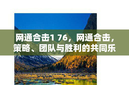 网通合击1 76，网通合击，策略、团队与胜利的共同乐章