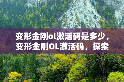 变形金刚ol激活码是多少，变形金刚OL激活码，探索与冒险的独家通行证
