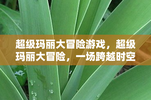 超级玛丽大冒险游戏，超级玛丽大冒险，一场跨越时空的勇者之旅