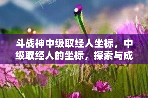 斗战神中级取经人坐标，中级取经人的坐标，探索与成长的交汇点