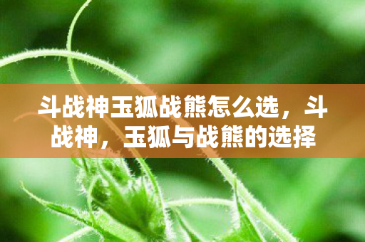 斗战神玉狐战熊怎么选，斗战神，玉狐与战熊的选择