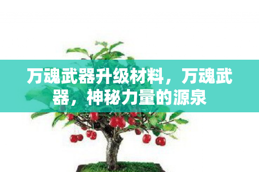 万魂武器升级材料，万魂武器，神秘力量的源泉